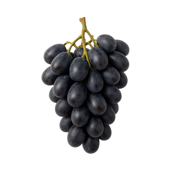 Fresh black grapes