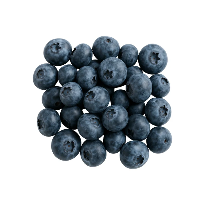 Fresh blueberries