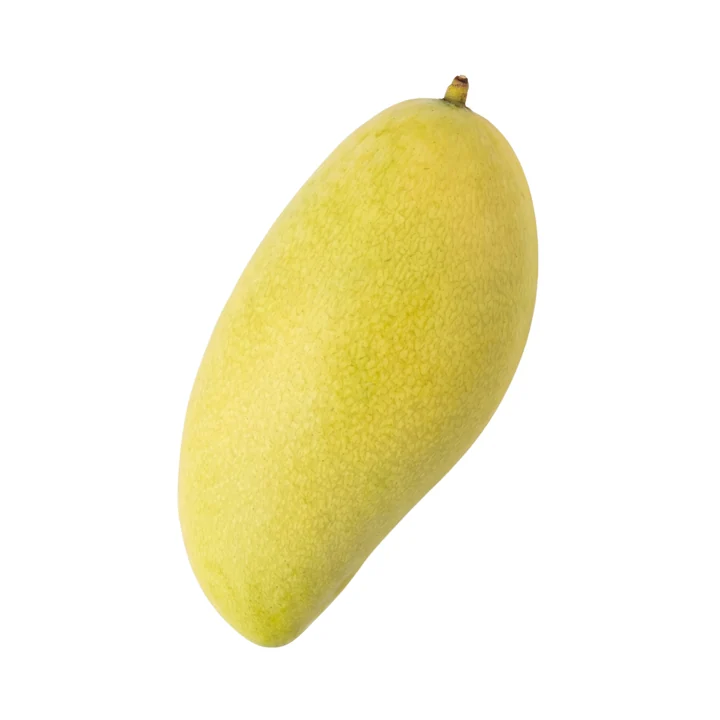 Fresh Mango Susu