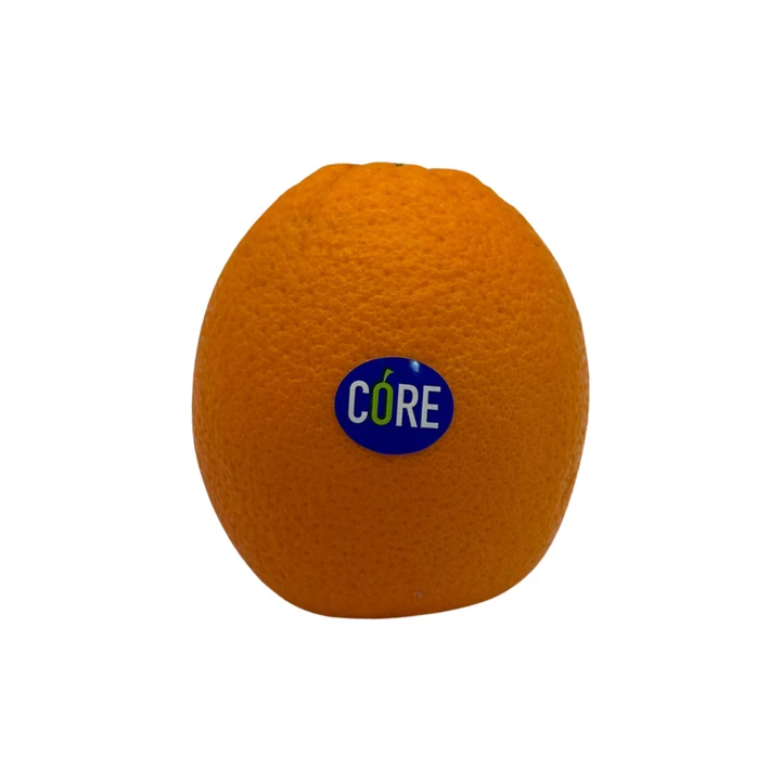 Fresh extra large orange